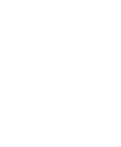 PLICO